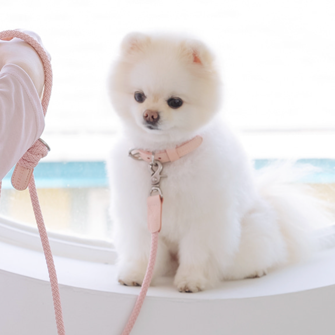 Rope Collar(ピンク)