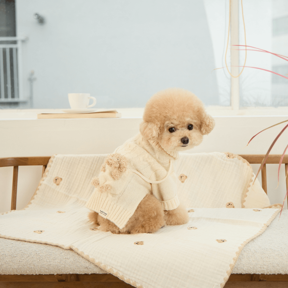 ポケットトイニットプルオーバー(アイボリー)