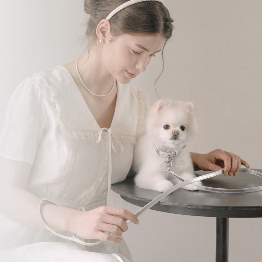 Lumiere Collar (Silver)