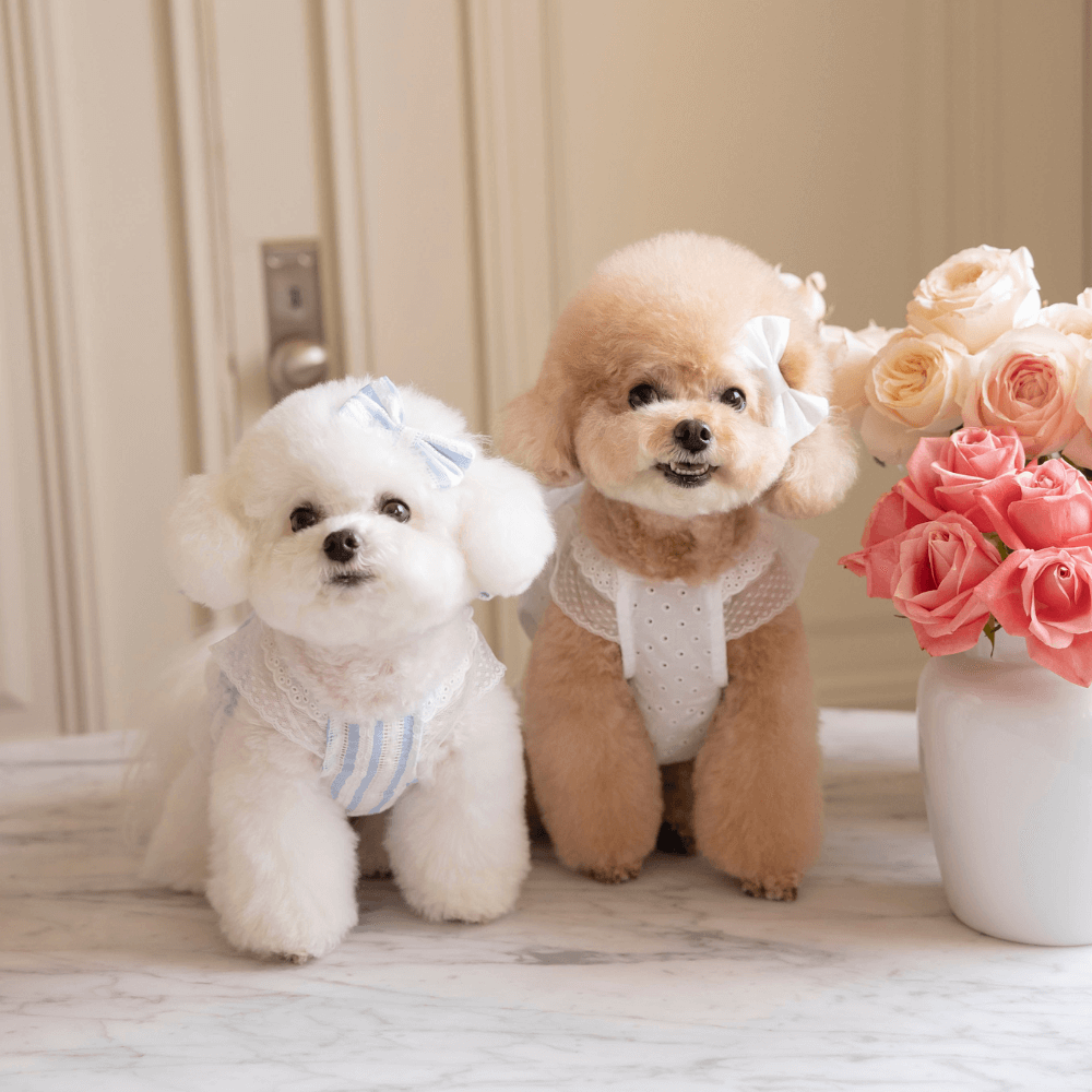 Malibu Dress(White Dot)