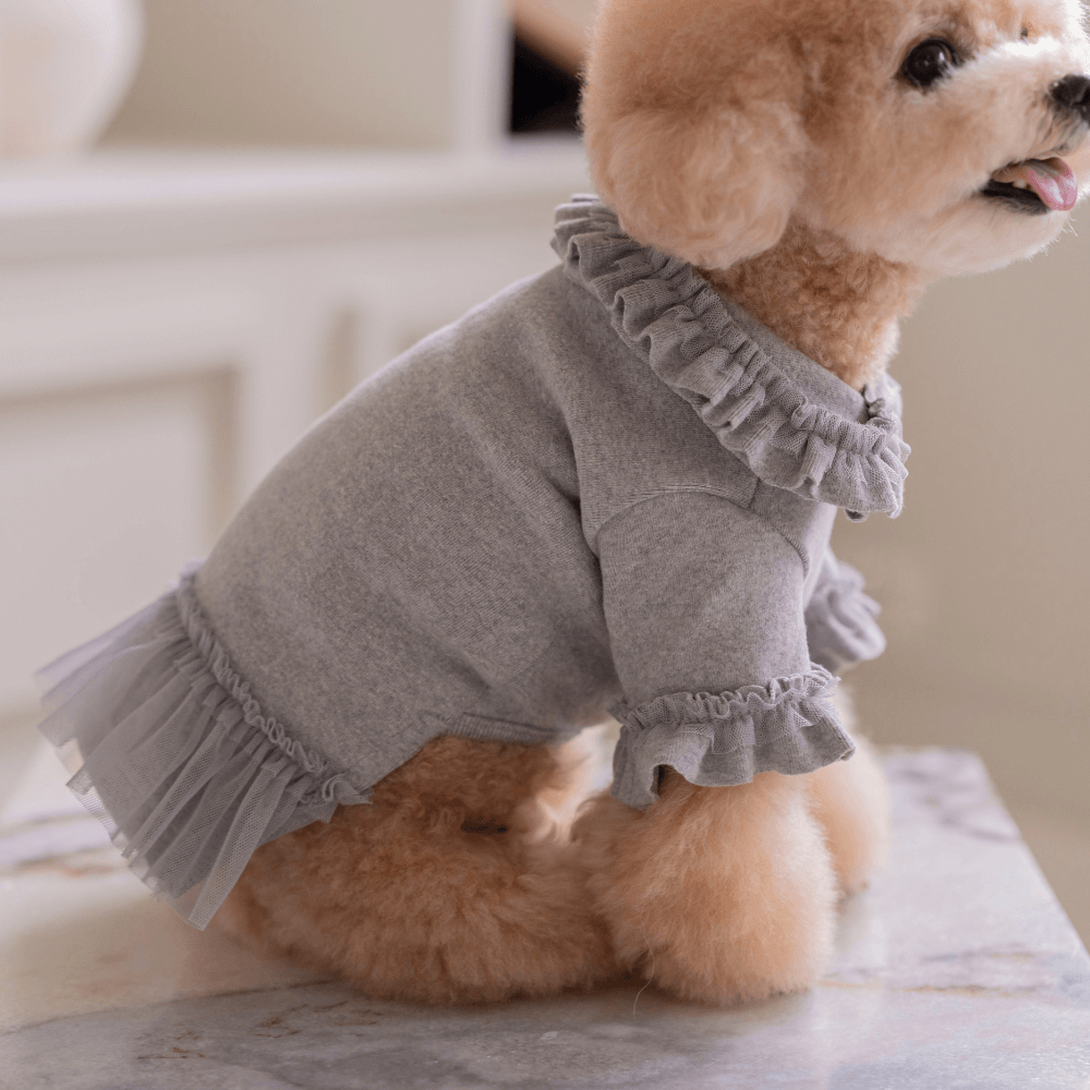 Plie Tu-Tu T-shirt(Gray)