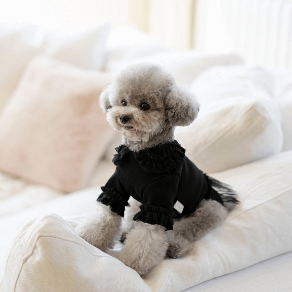 Plie Tu-Tu T-shirt(Black)