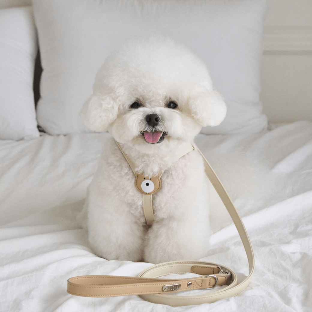 BEAR 150cm LEASH(Ivory)