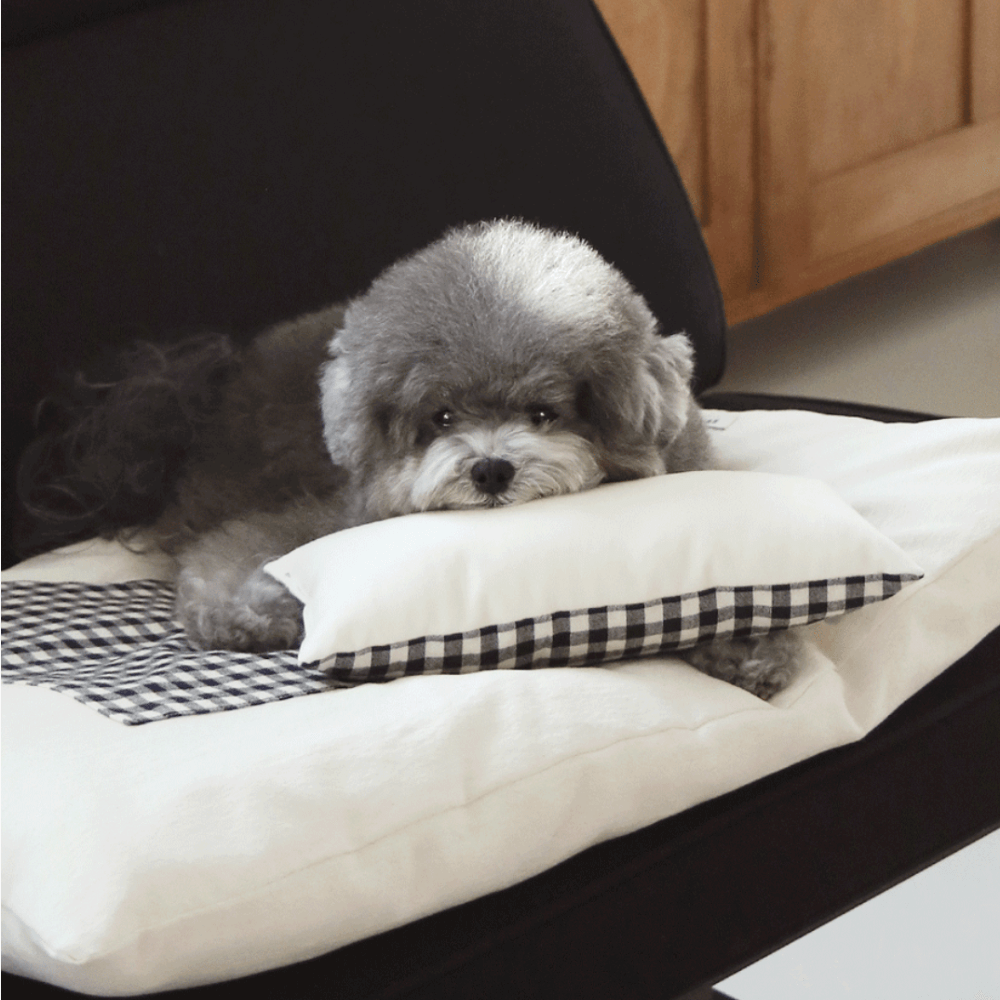 Mini Square Pillow(black)