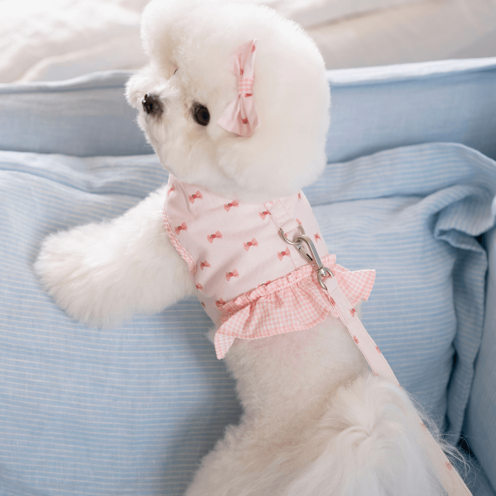 XOXO Candy Leash(Pink)