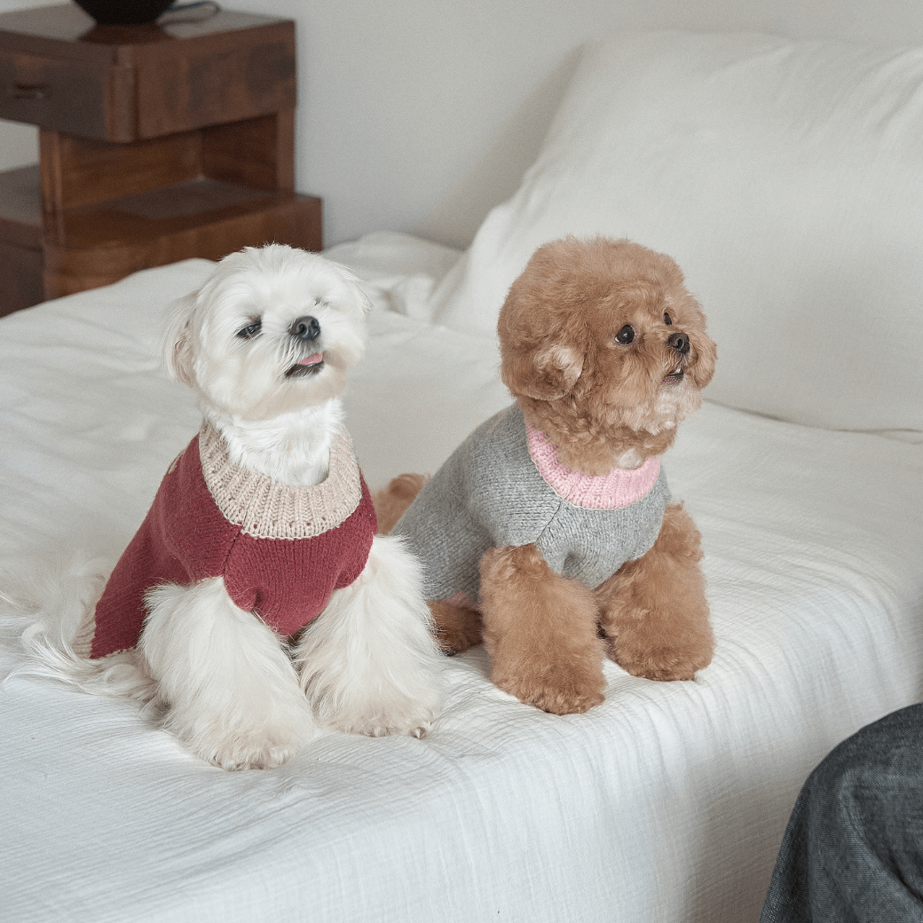 Merino Wool 100 Comfort Knit (2color)