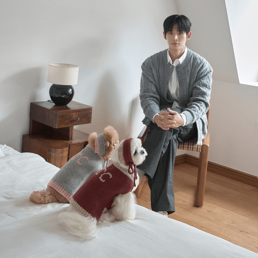 Merino Wool 100 Comfort Knit (2color)