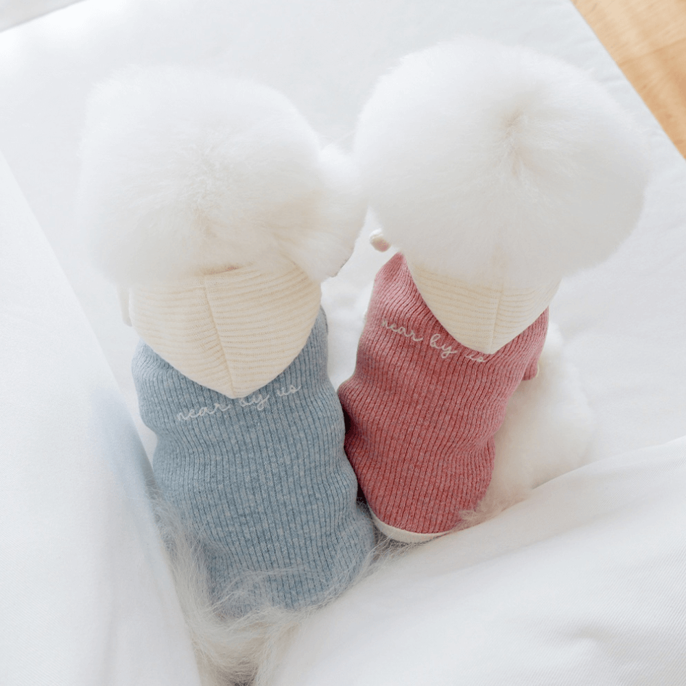 palette wool knit top (cloud blue)