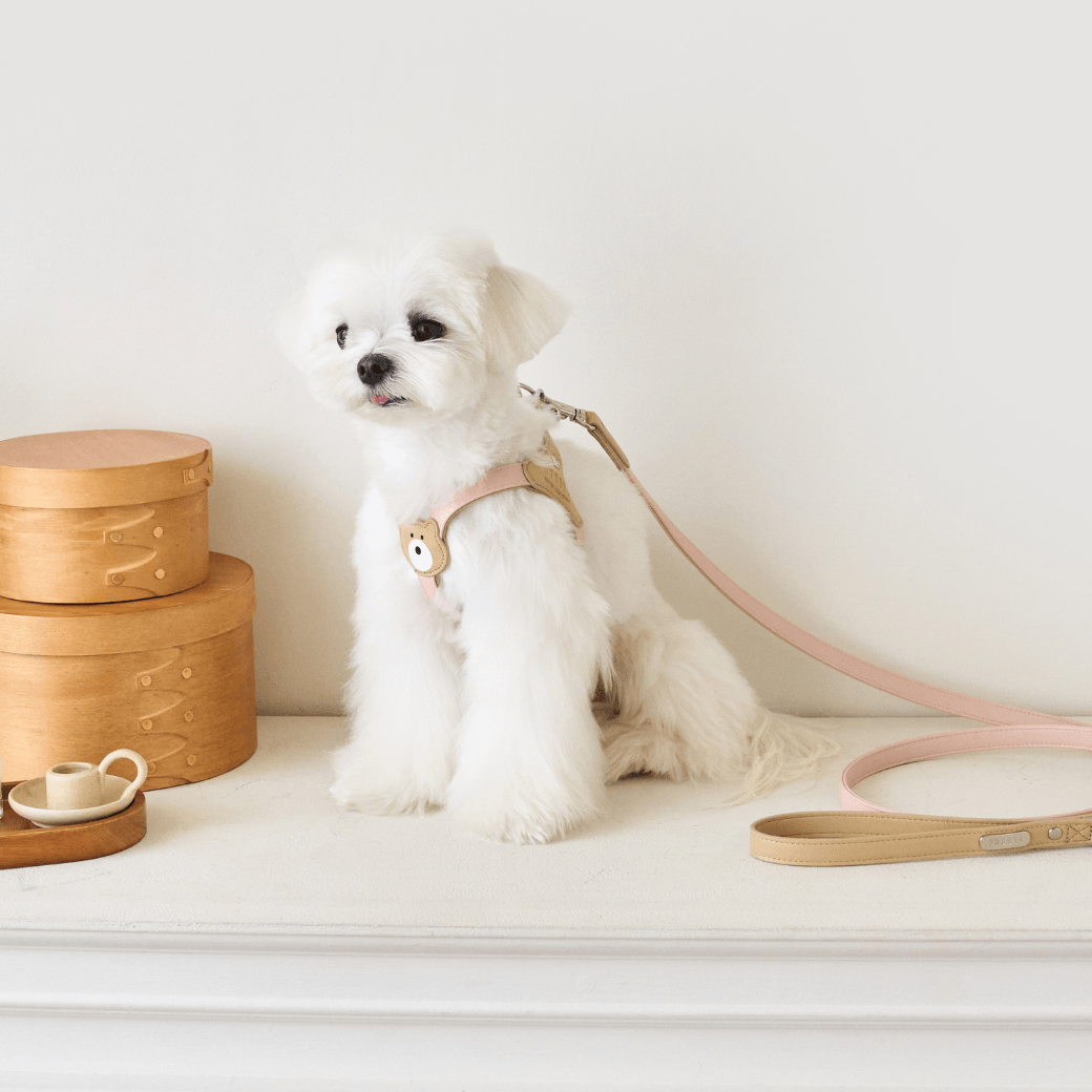 BEAR HARNESS(Indi Pink)