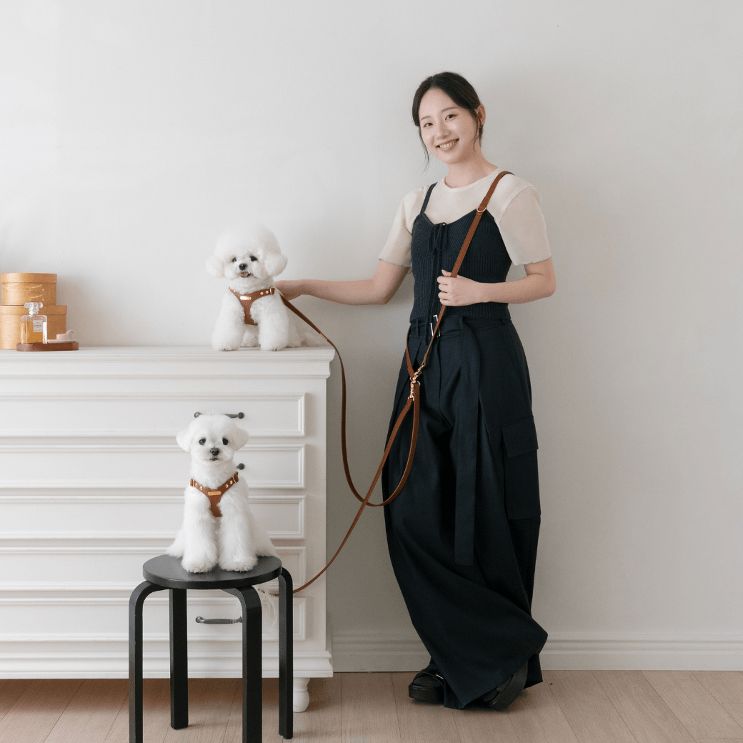 DELIGHT HARNESS(キャメル)