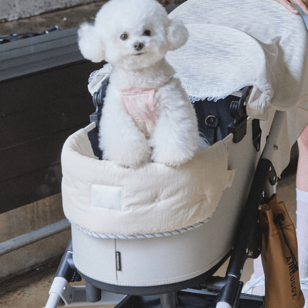【予約】Solar Safe Buggy Puff (Ivory)