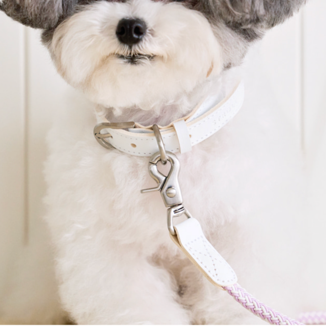 Rope Leash (Lilac)