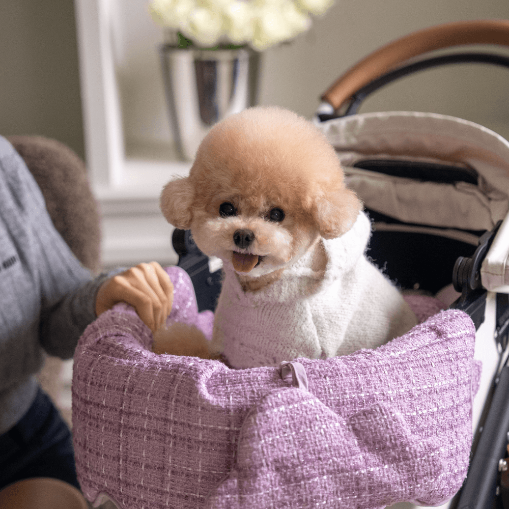 Tweed Buggy Guard (Purple)