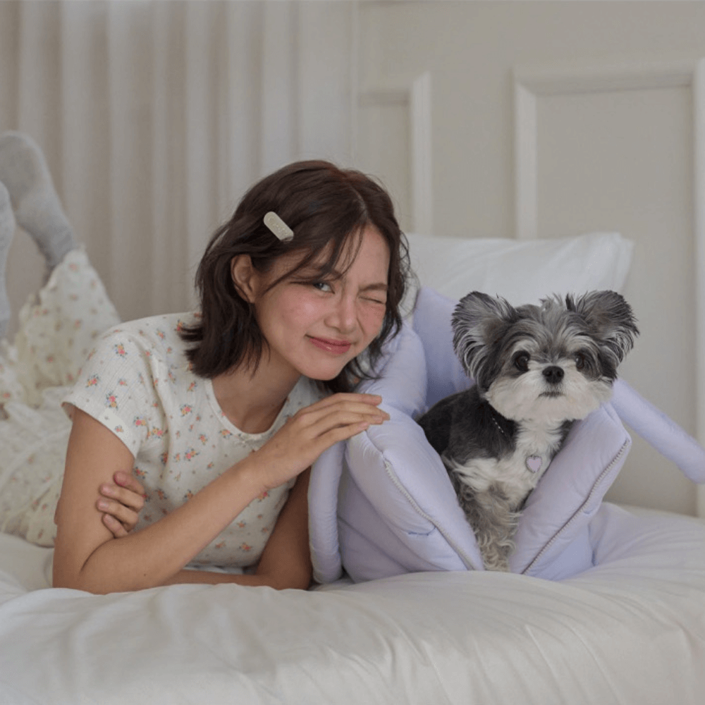 APERTY wide bag – purple｜韓国発の犬用キャリーバッグ｜MINIME