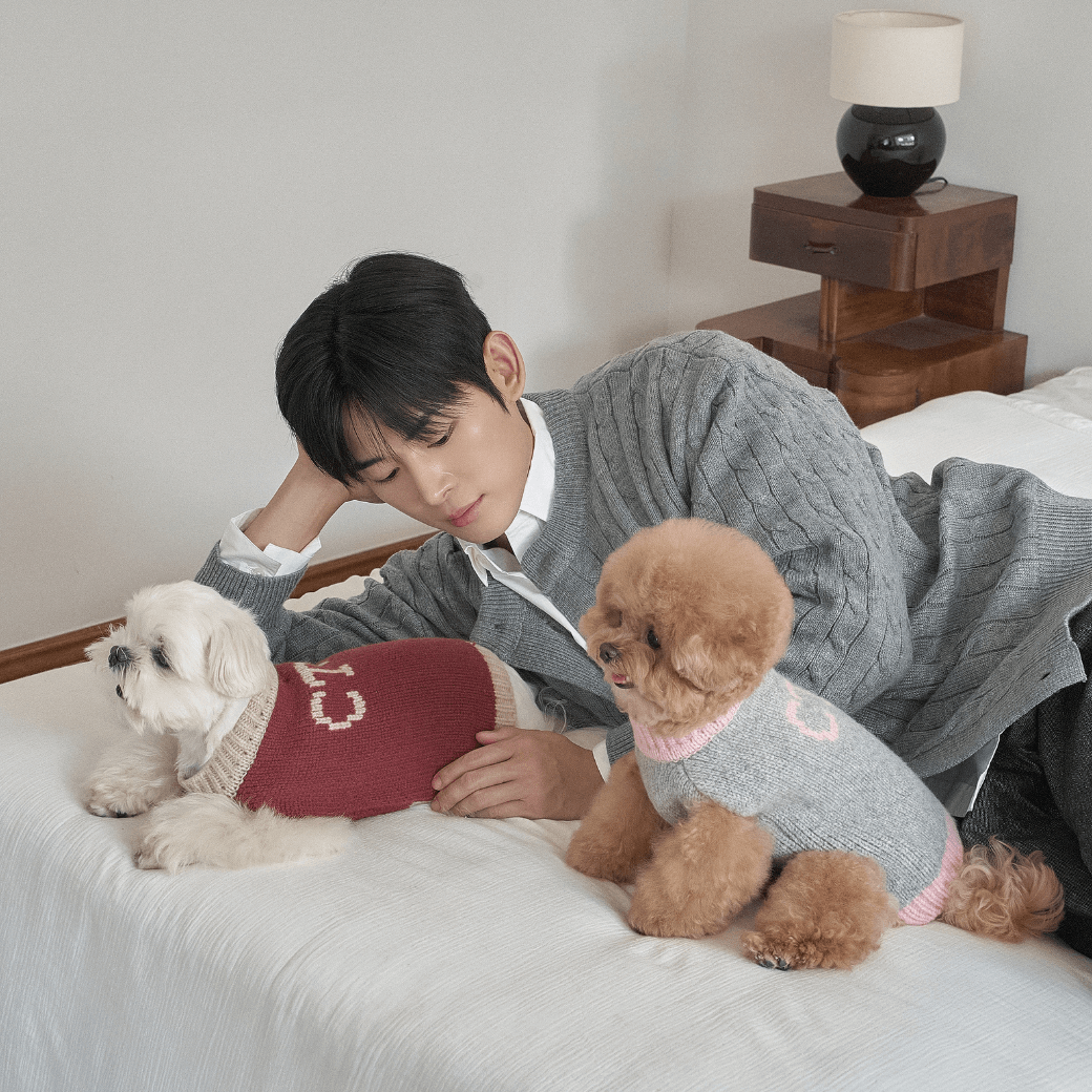 Merino Wool 100 Comfort Knit (2color)