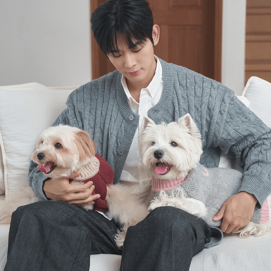 Merino Wool 100 Comfort Knit (2color)