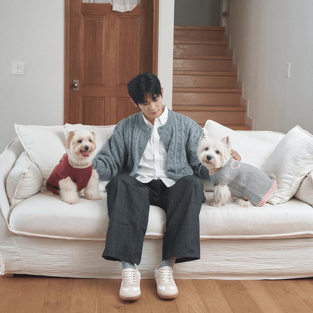 Merino Wool 100 Comfort Knit (2color)