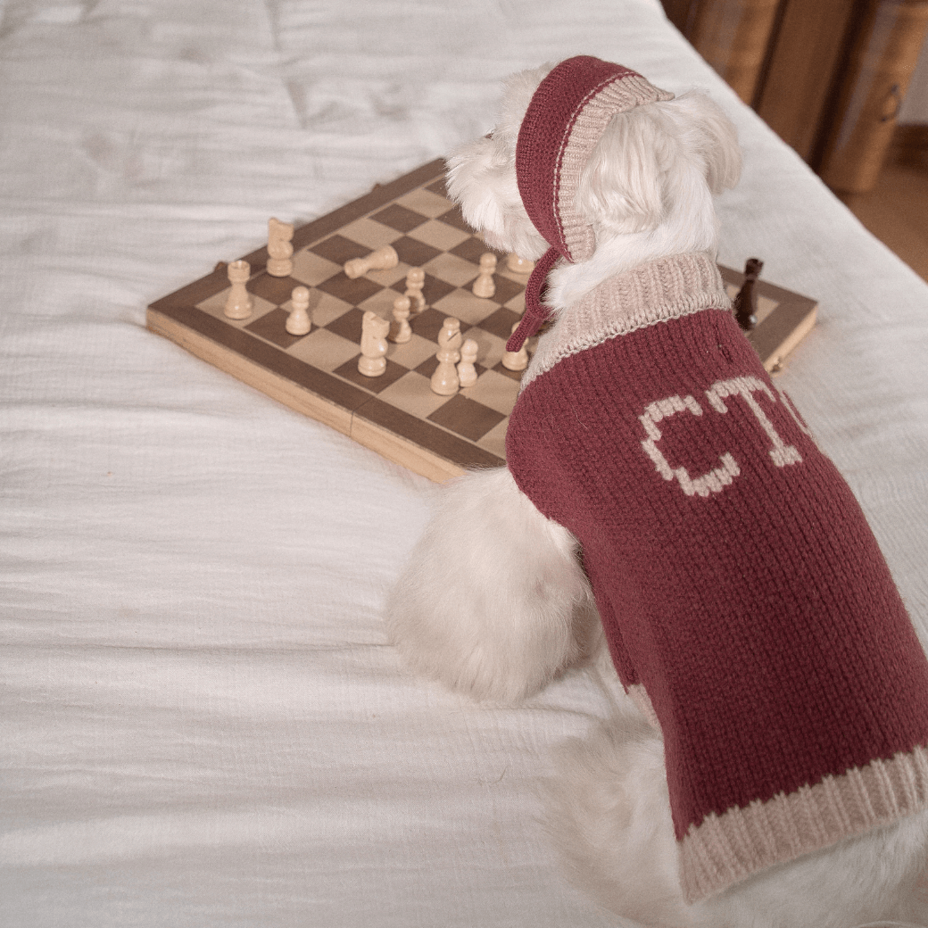 Merino Wool 100 Comfort Knit (2color)