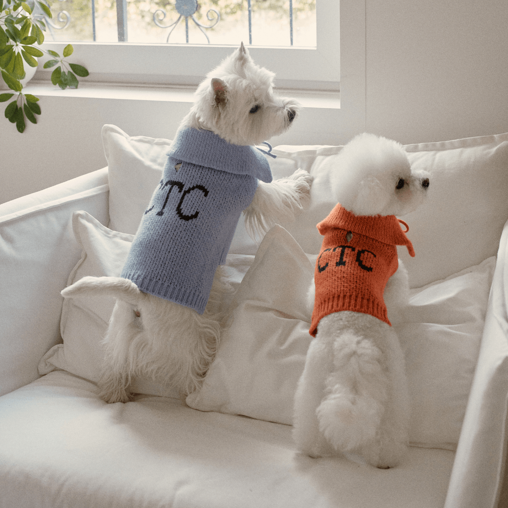 Sailor Classic Merino Wool 100 Knit (2color)