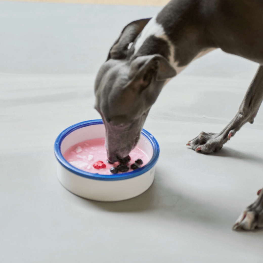 Line Bowl S (5color)