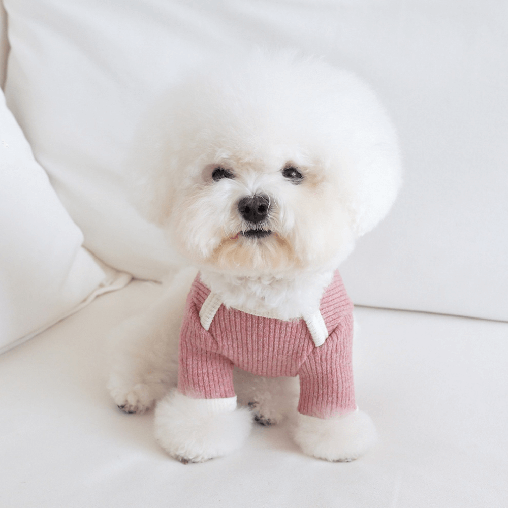 palette wool knit top (mix berry)