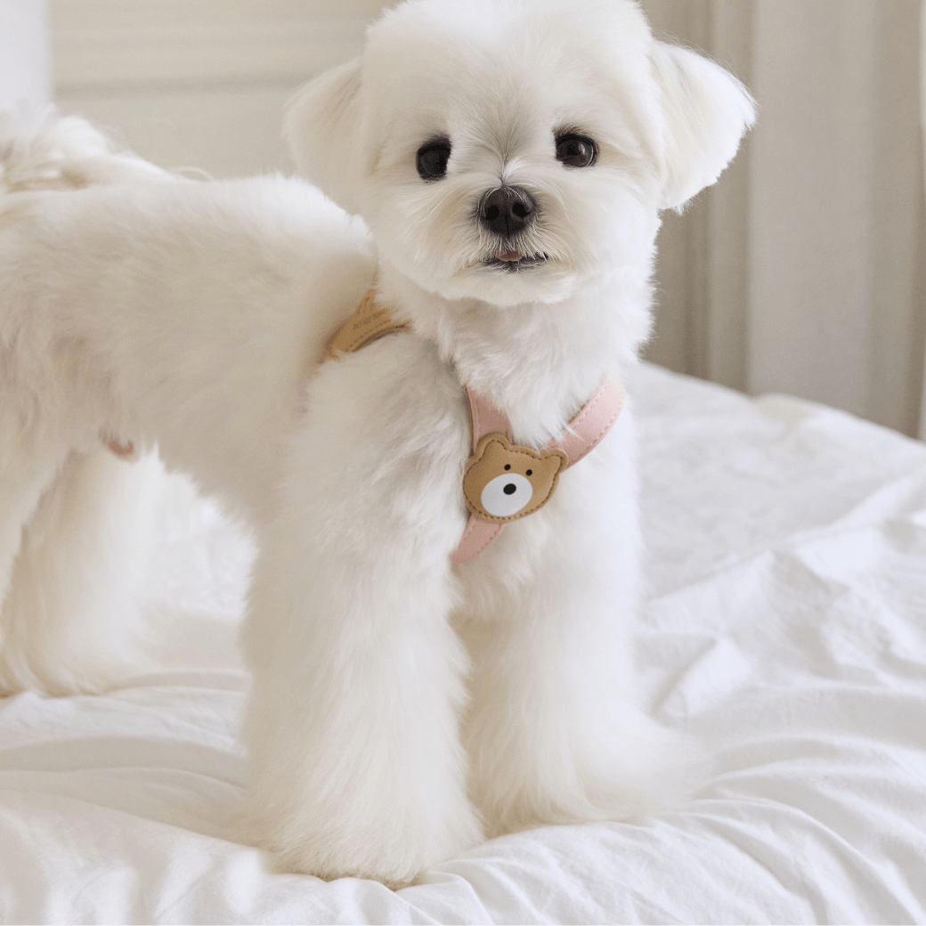 BEAR HARNESS(Indi Pink)