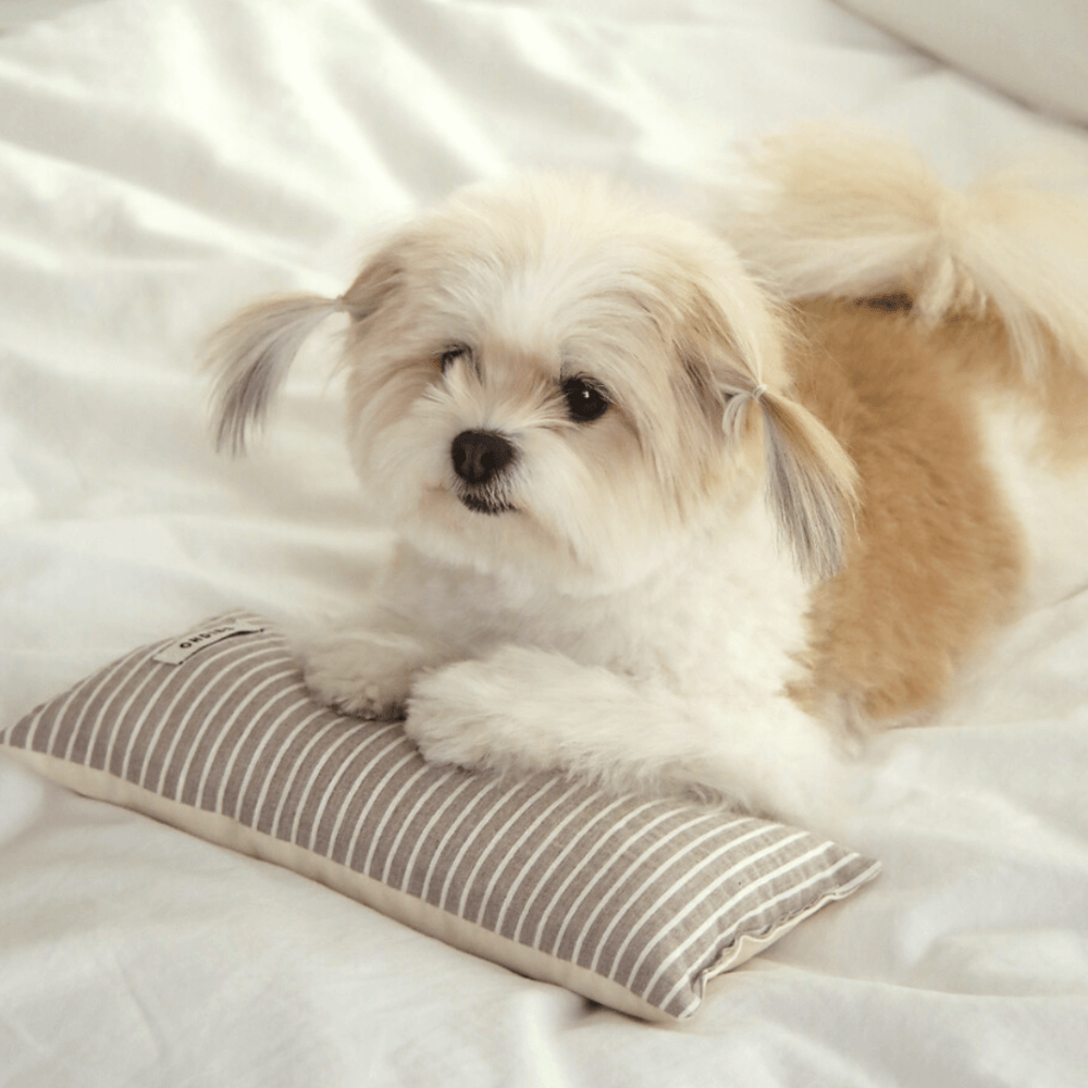 Mini Square Pillow(cocoa)