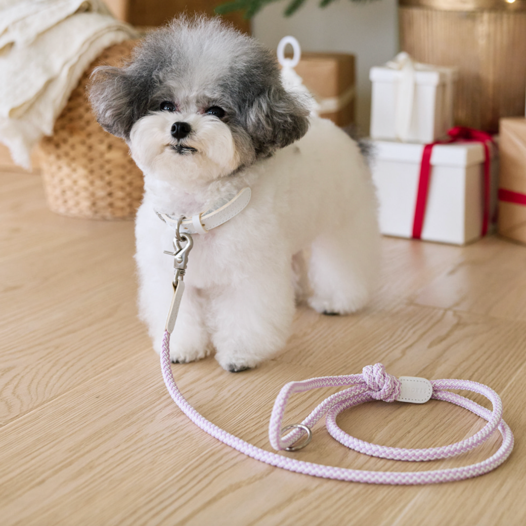 Rope Leash (Lilac)