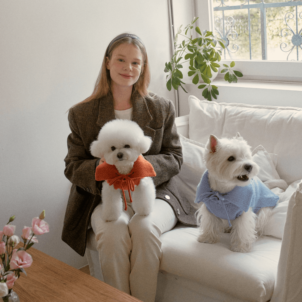 Sailor Classic Merino Wool 100 Knit (2color)