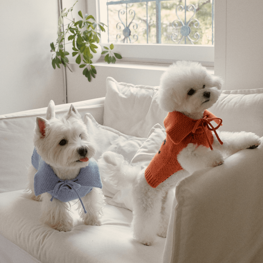 Sailor Classic Merino Wool 100 Knit (2color)