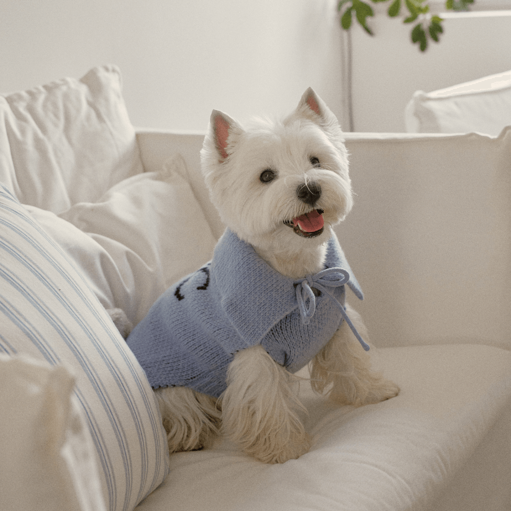 Sailor Classic Merino Wool 100 Knit (2color)