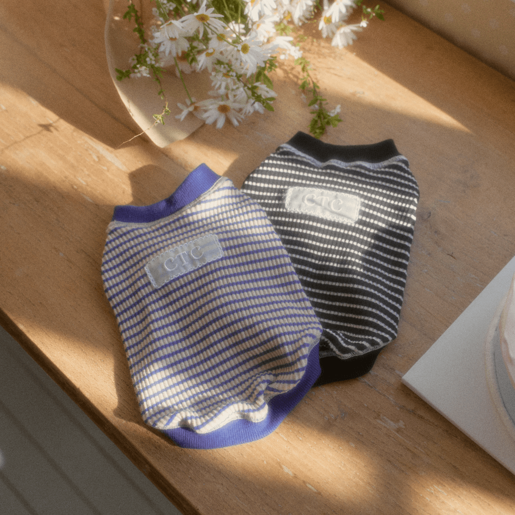 Union Stripe T-Shirt (2color)