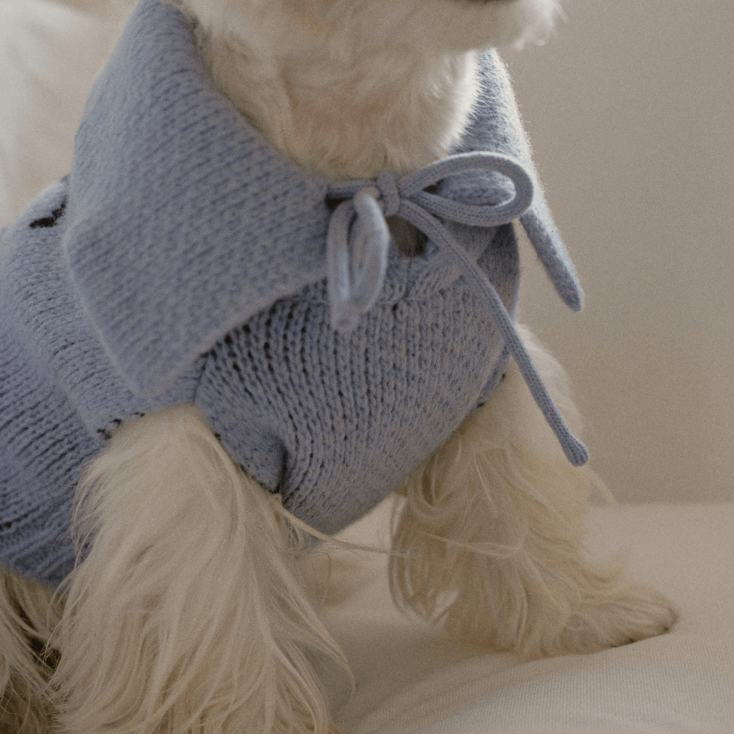 Sailor Classic Merino Wool 100 Knit (2color)