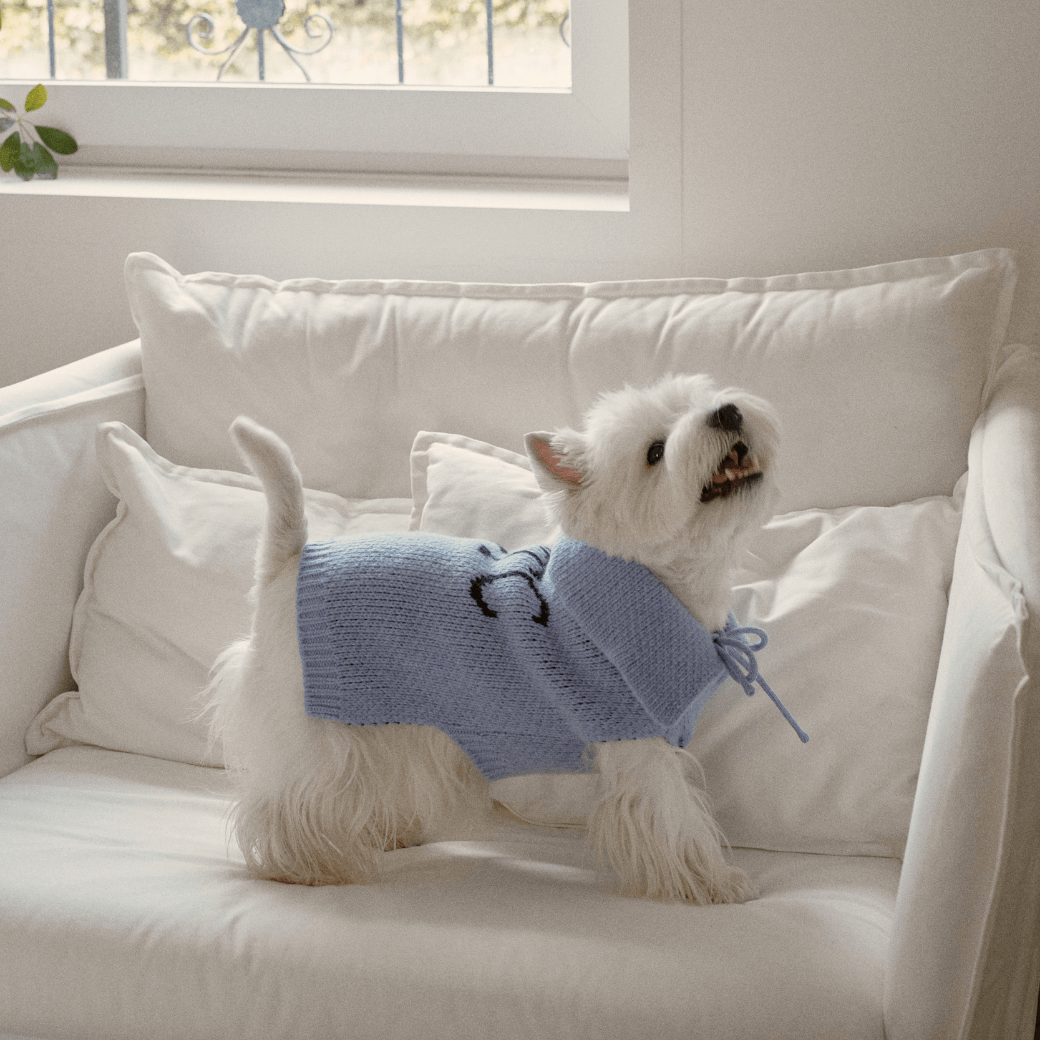 Sailor Classic Merino Wool 100 Knit (2color)