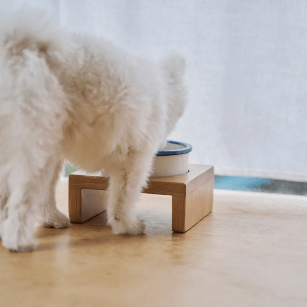 Line Bowl S (5color)