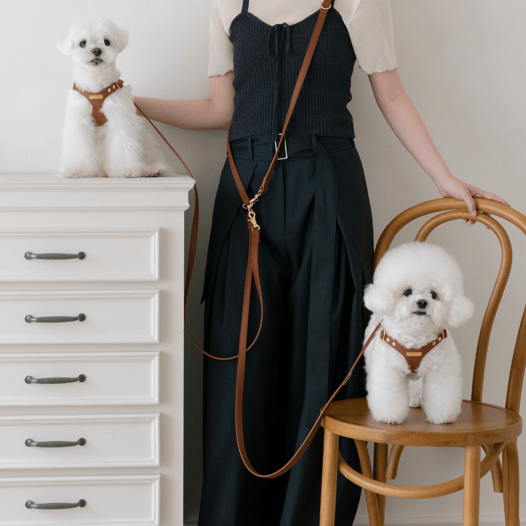 DELIGHT HARNESS(キャメル)