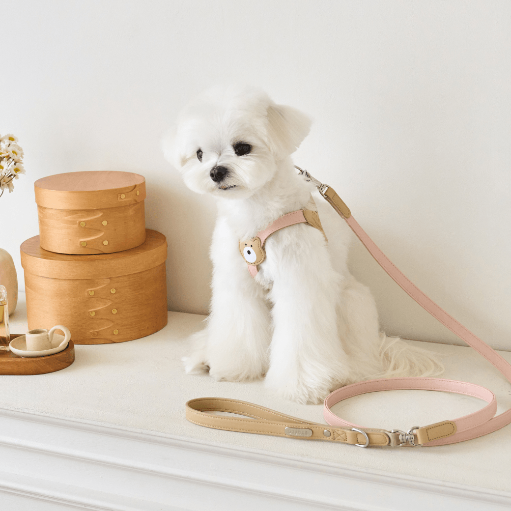 BEAR HARNESS(Indi Pink)