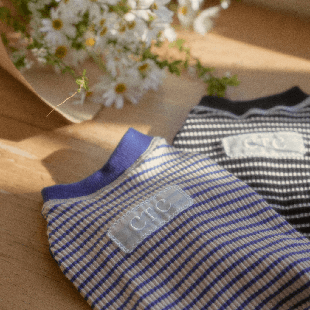 Union Stripe T-Shirt (2color)