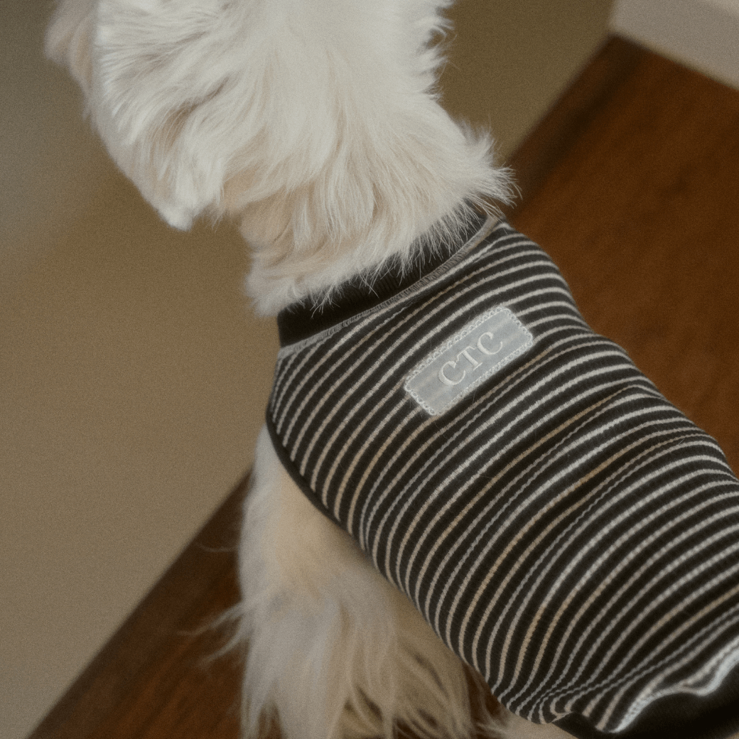 Union Stripe T-Shirt (2color)