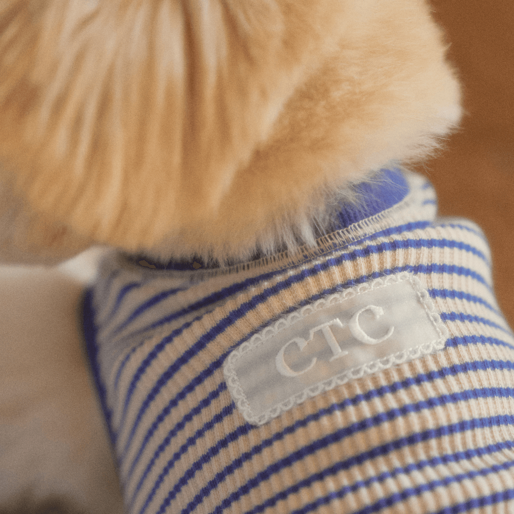 Union Stripe T-Shirt (2color)
