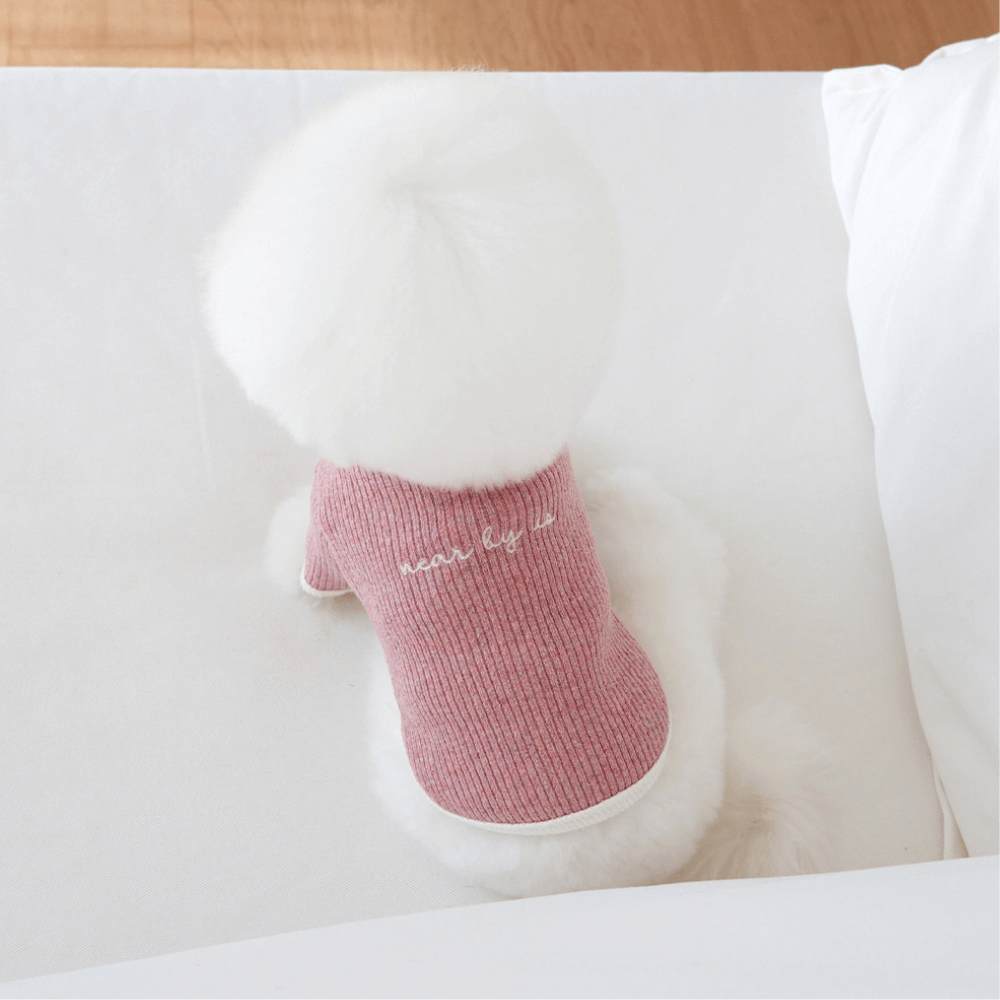 palette wool knit top (mix berry)