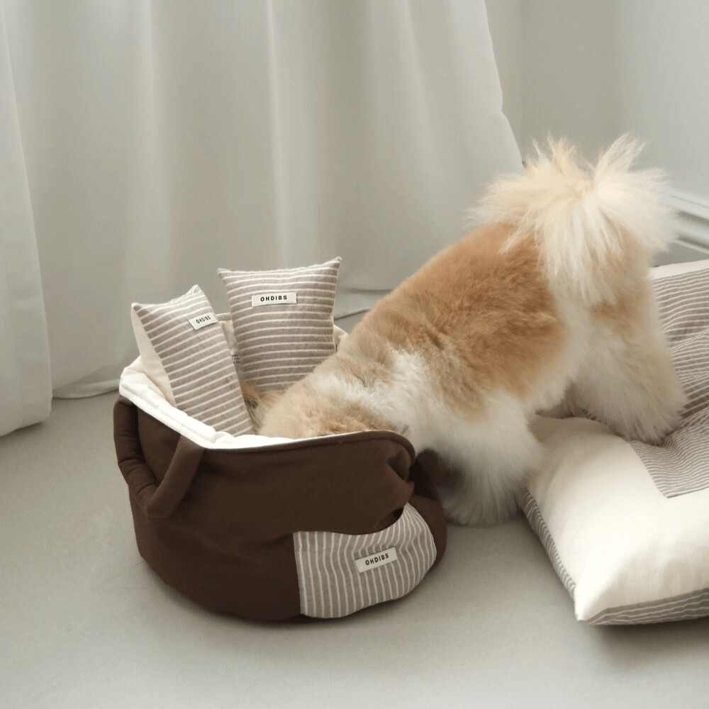 Cotton Soft Basket(Cocoa)