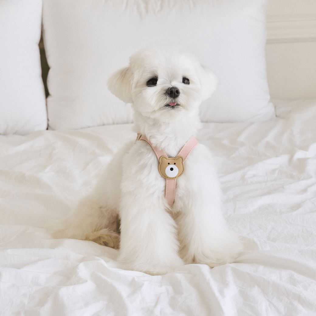 BEAR HARNESS(Indi Pink)