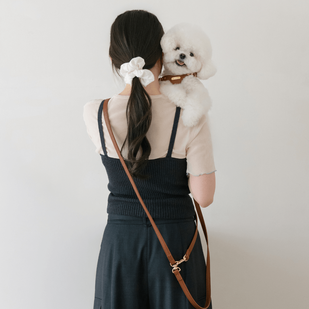 DELIGHT HARNESS(キャメル)