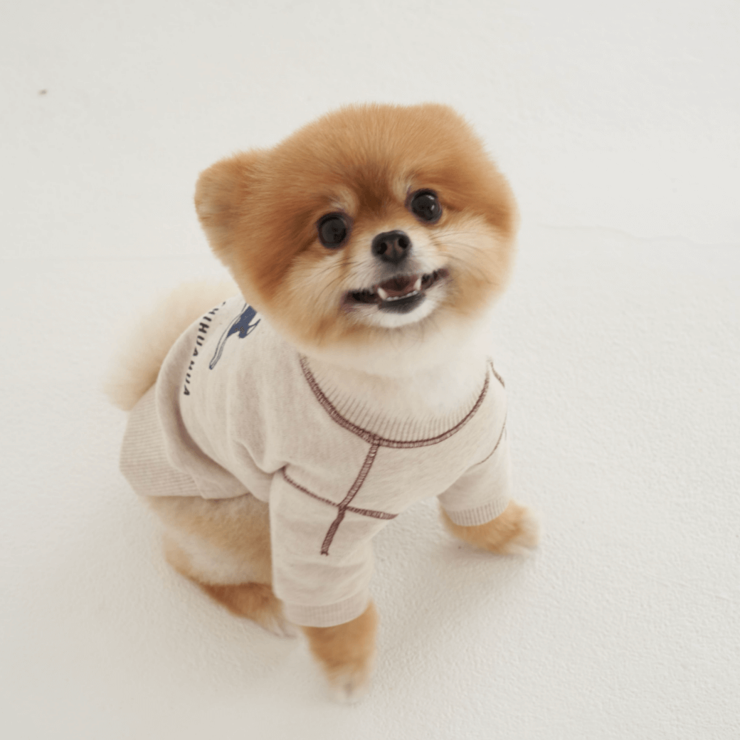 Logo Graphic Sweatshirt (2color)