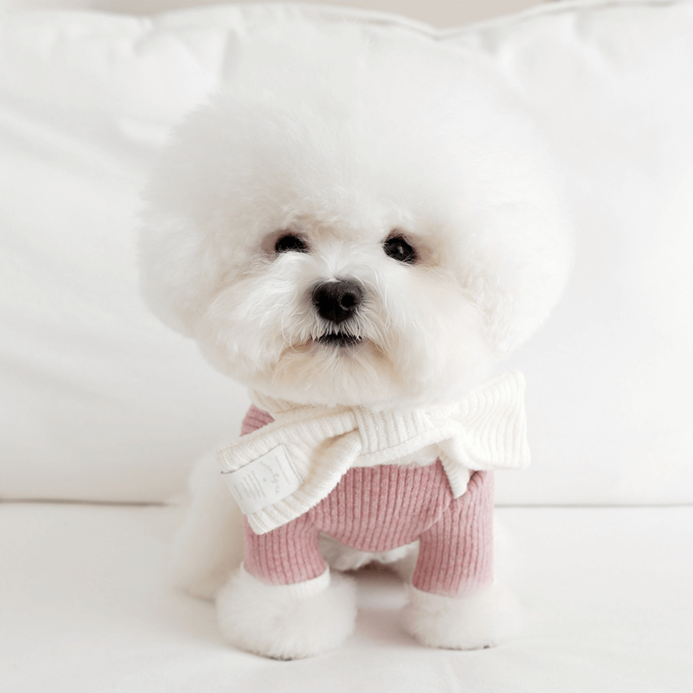 palette wool knit top (mix berry)