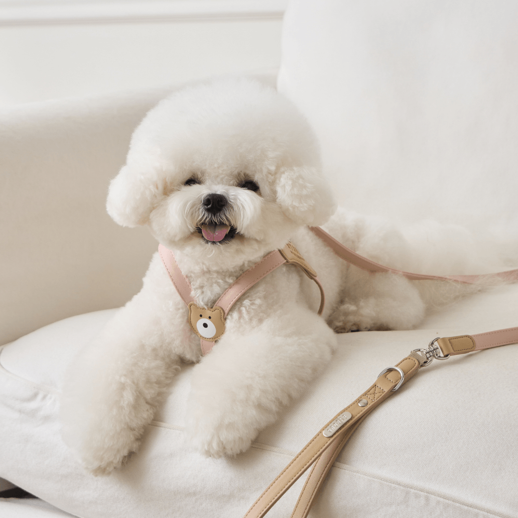 BEAR 150cm LEASH(Indi Pink)