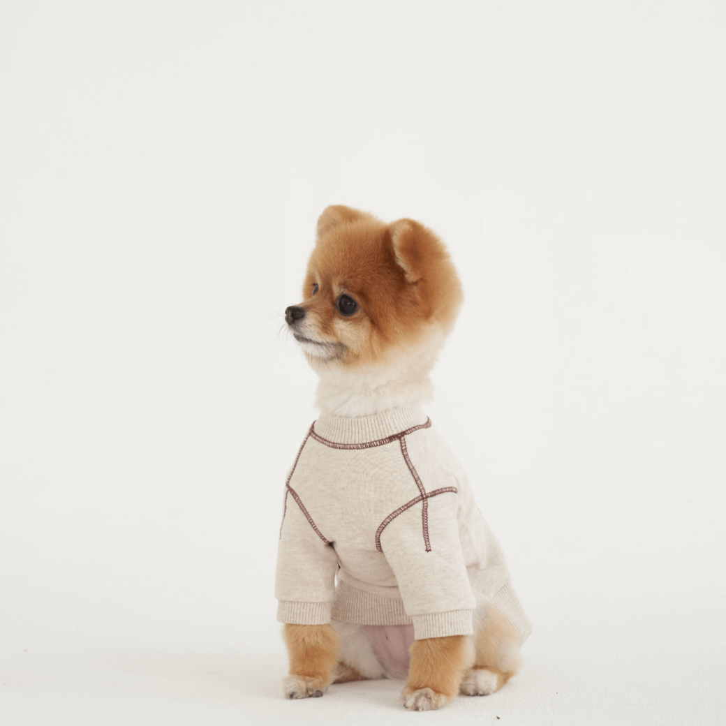 Logo Graphic Sweatshirt (2color)