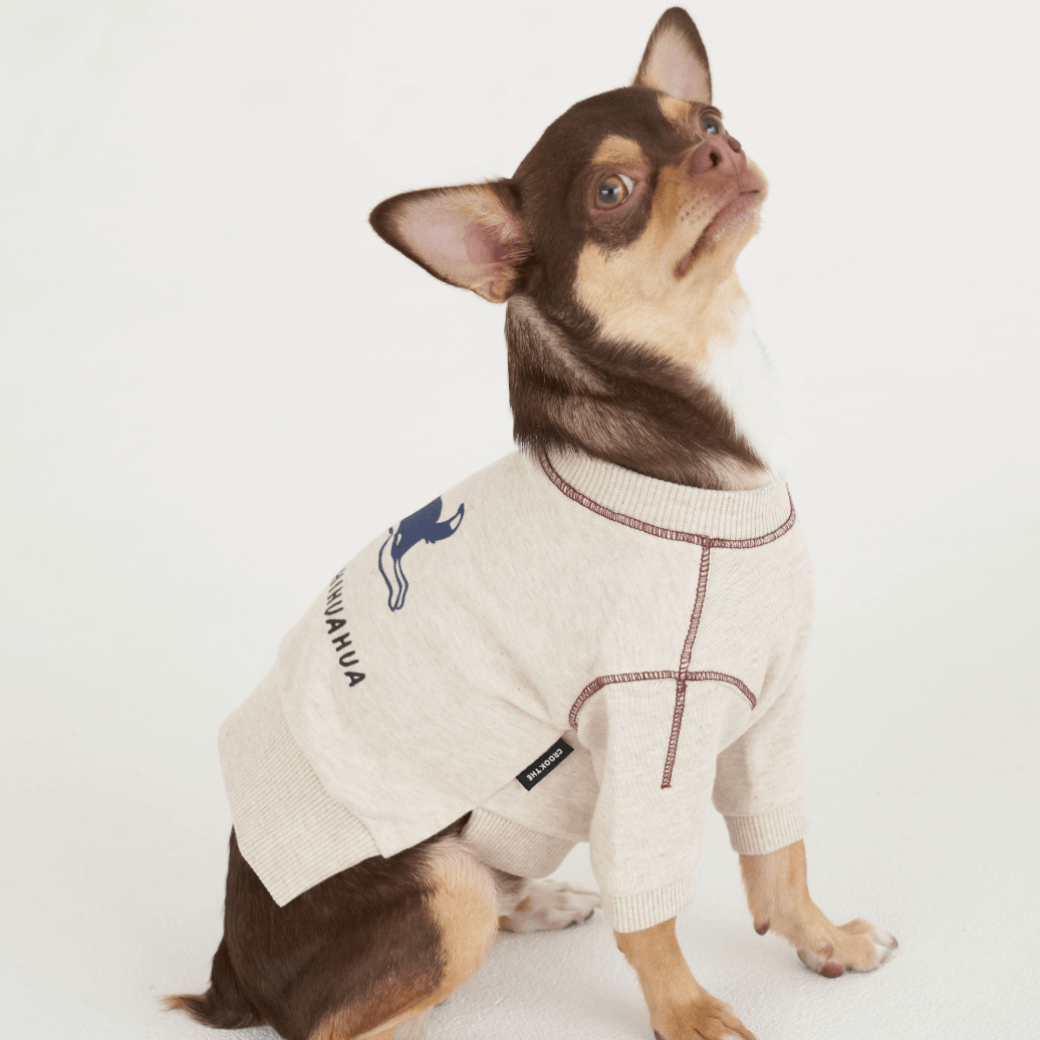 Logo Graphic Sweatshirt (2color)