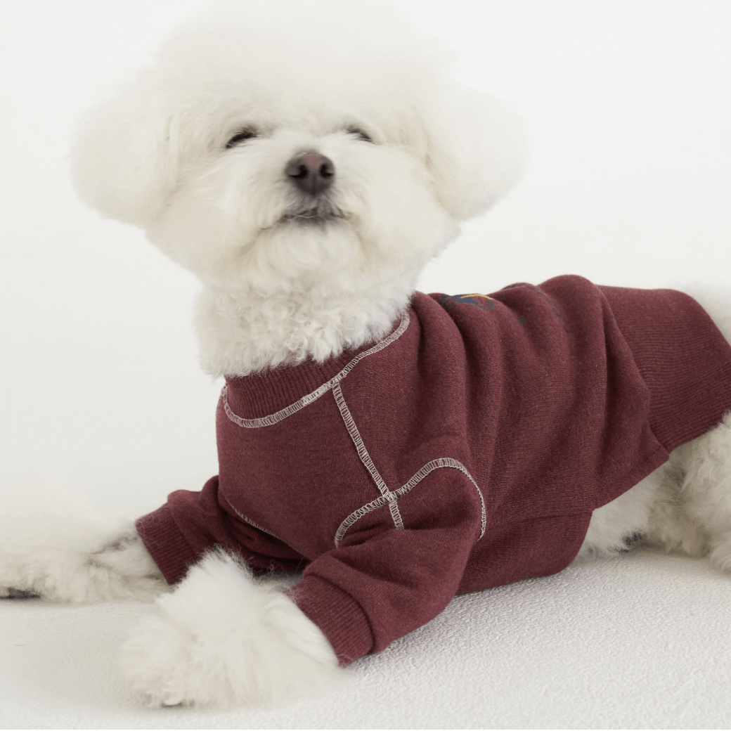 Logo Graphic Sweatshirt (2color)